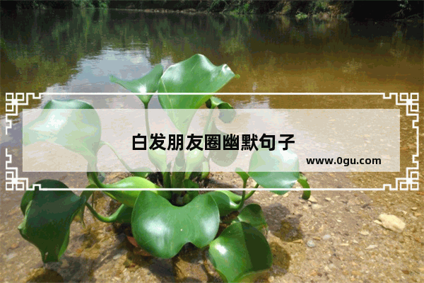 白发朋友圈幽默句子