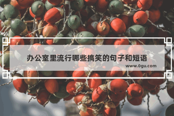 办公室里流行哪些搞笑的句子和短语