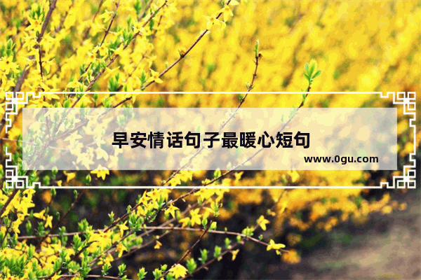 早安情话句子最暖心短句
