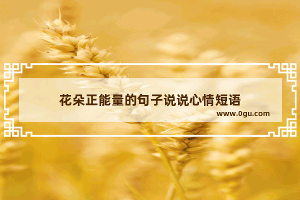 花朵正能量的句子说说心情短语