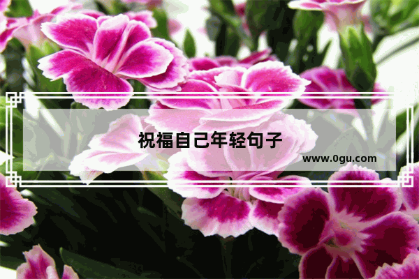祝福自己年轻句子