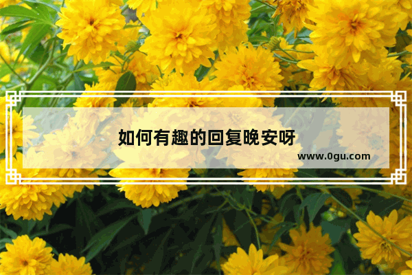 如何有趣的回复晚安呀