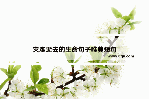灾难逝去的生命句子唯美短句