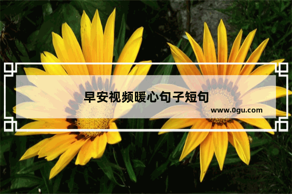早安视频暖心句子短句