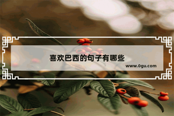 喜欢巴西的句子有哪些