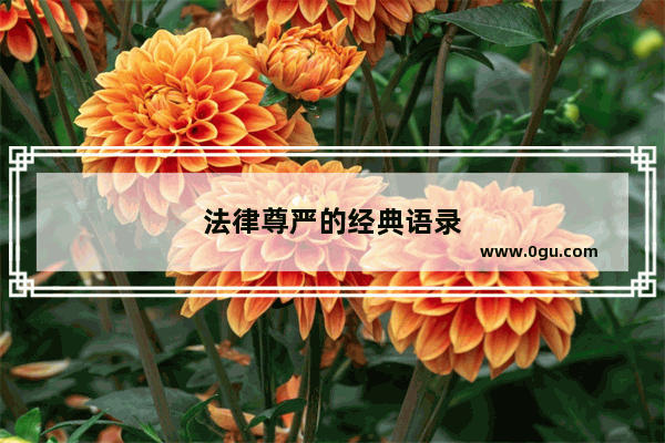 法律尊严的经典语录