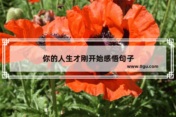 你的人生才刚开始感悟句子