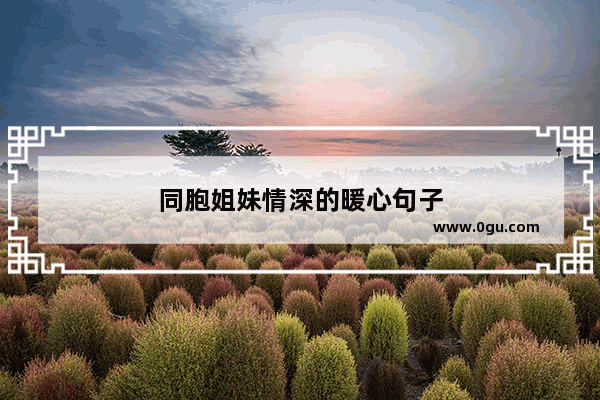 同胞姐妹情深的暖心句子