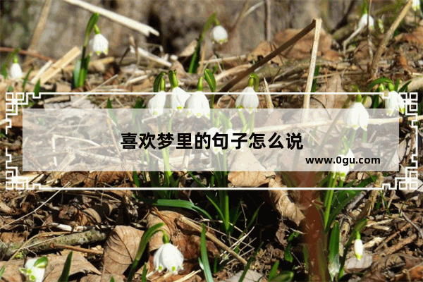 喜欢梦里的句子怎么说