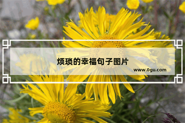 烦琐的幸福句子图片
