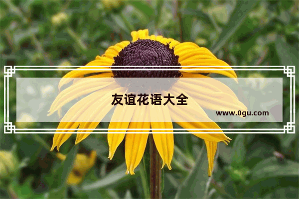 友谊花语大全