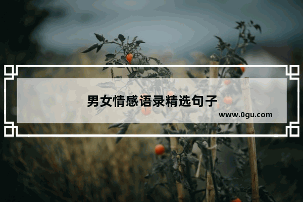 男女情感语录精选句子