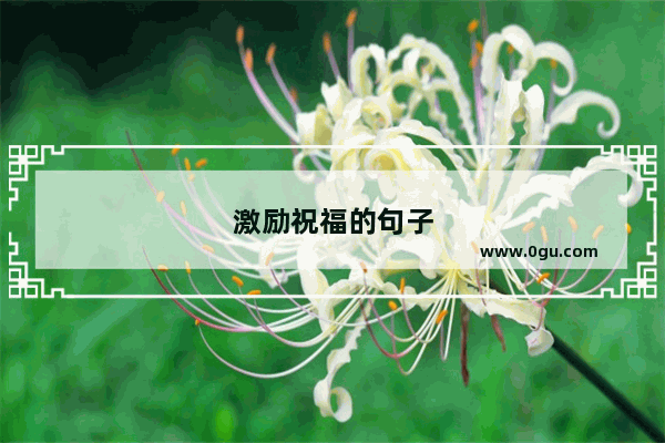 激励祝福的句子