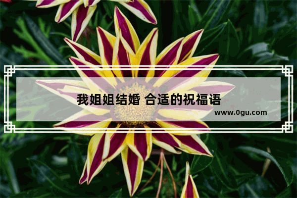 我姐姐结婚 合适的祝福语