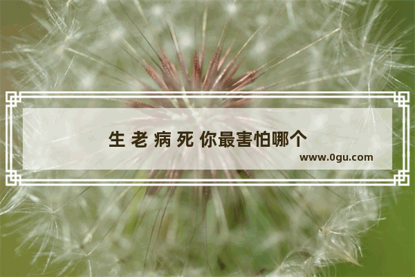 生 老 病 死 你最害怕哪个
