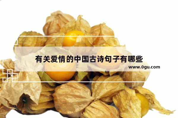 有关爱情的中国古诗句子有哪些