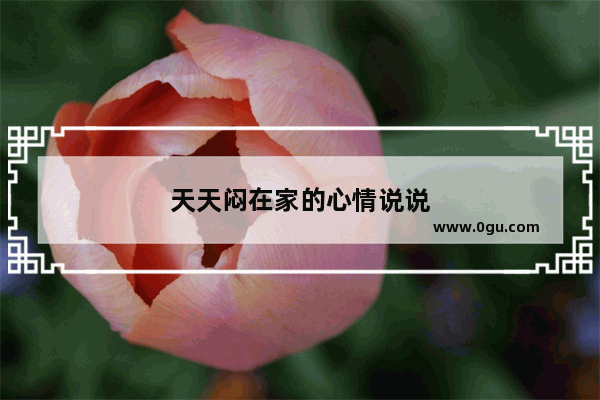天天闷在家的心情说说