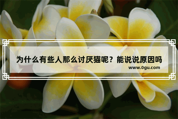 为什么有些人那么讨厌猫呢？能说说原因吗