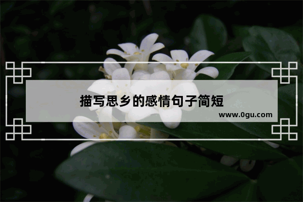 描写思乡的感情句子简短