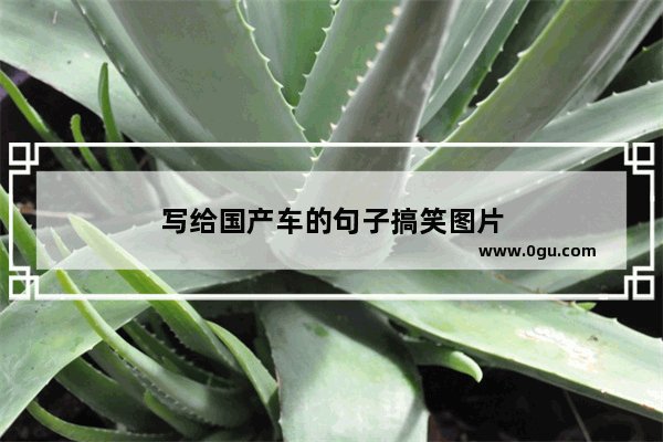 写给国产车的句子搞笑图片