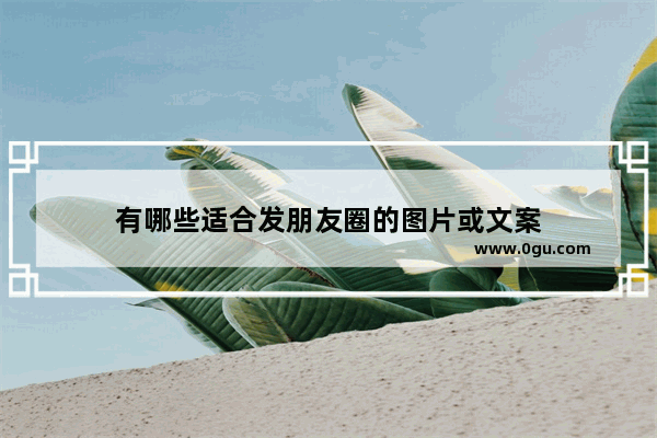 有哪些适合发朋友圈的图片或文案