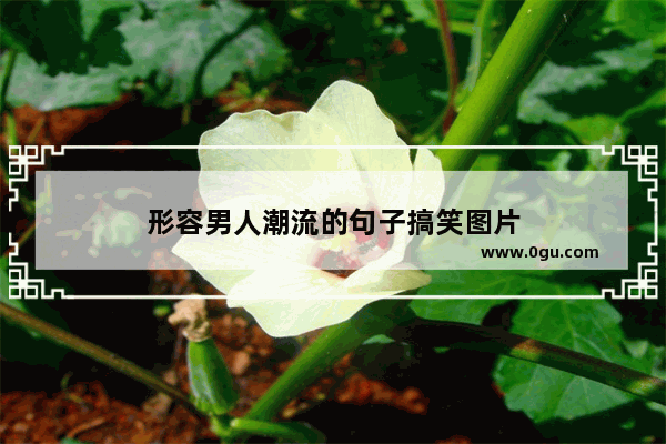 形容男人潮流的句子搞笑图片