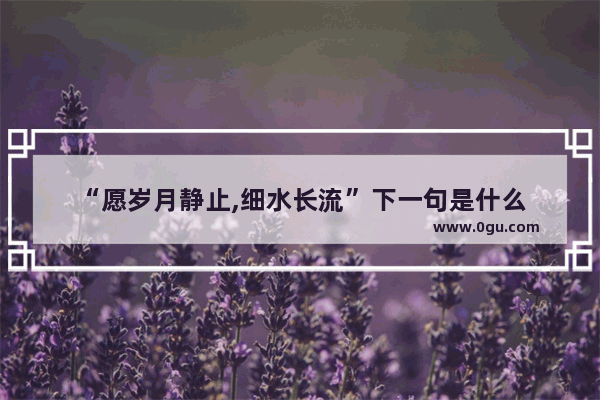 “愿岁月静止,细水长流”下一句是什么