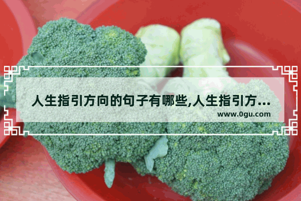 人生指引方向的句子有哪些,人生指引方向的句子