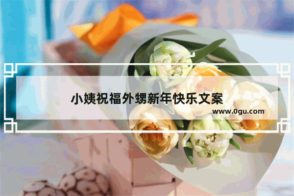 小姨祝福外甥新年快乐文案