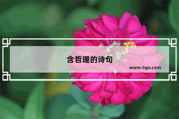 含哲理的诗句