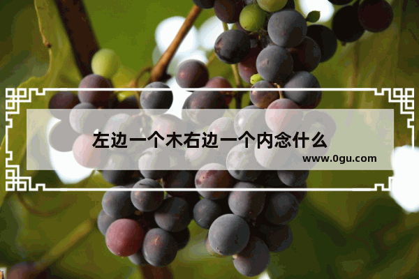 左边一个木右边一个内念什么