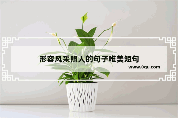 形容风采照人的句子唯美短句