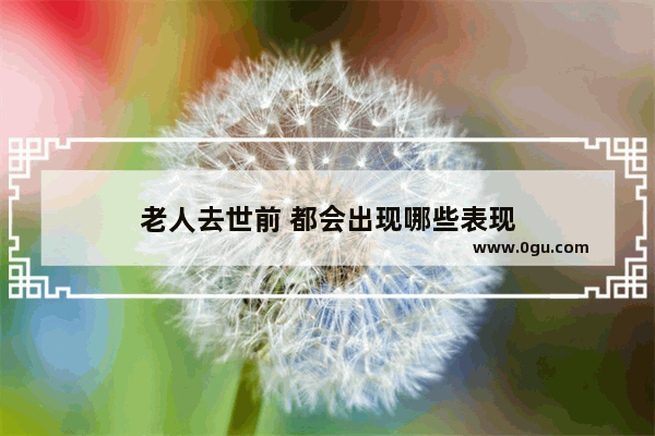 老人去世前 都会出现哪些表现