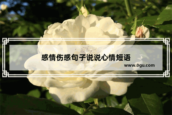 感情伤感句子说说心情短语