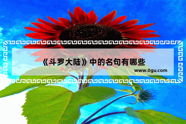 《斗罗大陆》中的名句有哪些