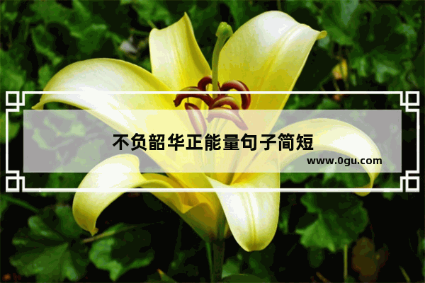 不负韶华正能量句子简短