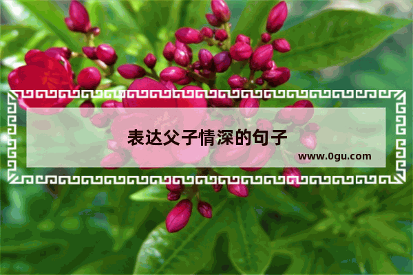表达父子情深的句子