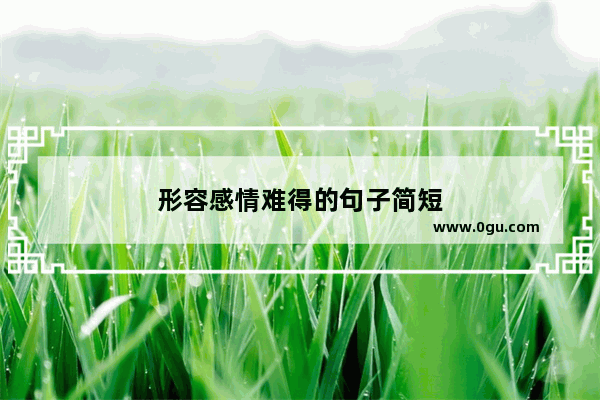 形容感情难得的句子简短