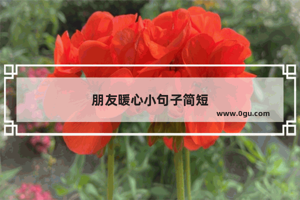 朋友暖心小句子简短