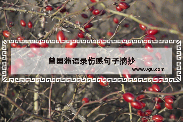 曾国藩语录伤感句子摘抄