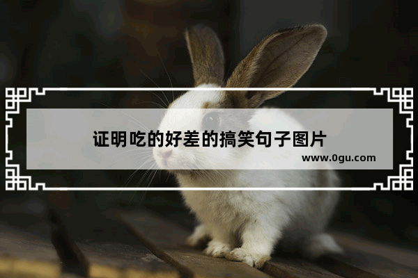 证明吃的好差的搞笑句子图片
