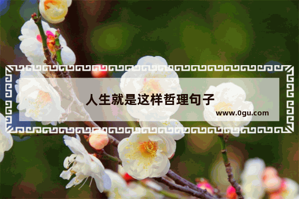 人生就是这样哲理句子
