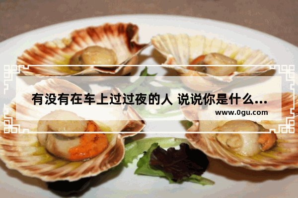 有没有在车上过过夜的人 说说你是什么感受