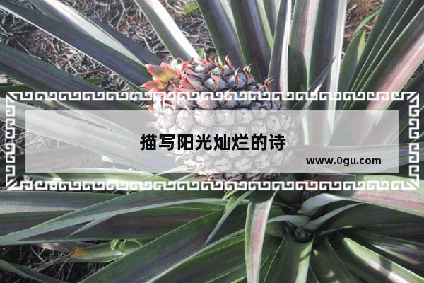 描写阳光灿烂的诗