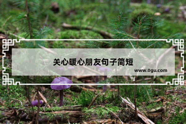 关心暖心朋友句子简短