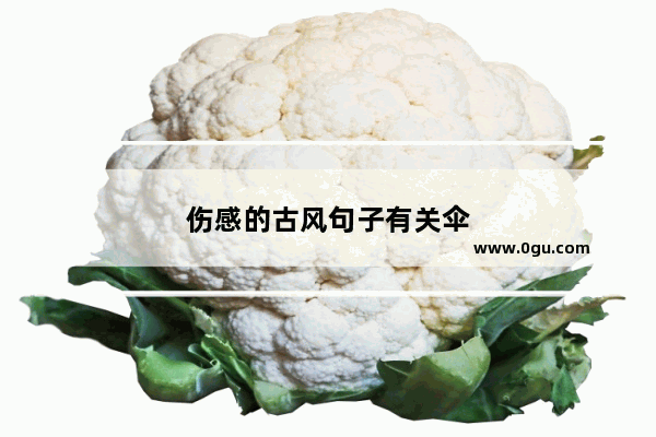 伤感的古风句子有关伞
