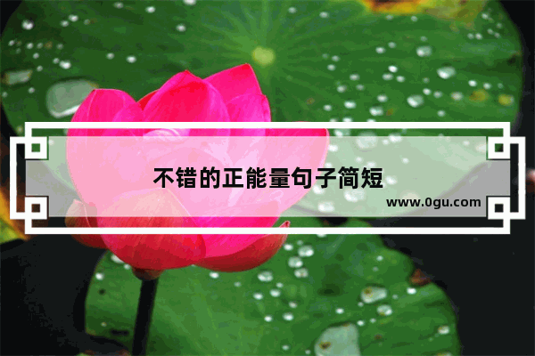 不错的正能量句子简短