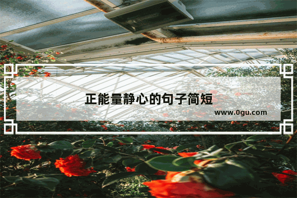 正能量静心的句子简短