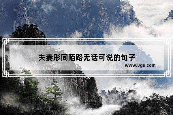 夫妻形同陌路无话可说的句子