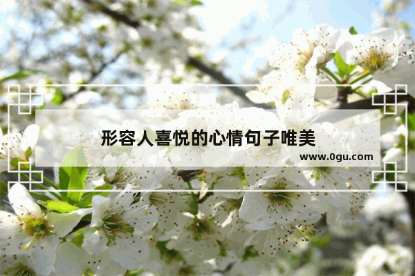 形容人喜悦的心情句子唯美